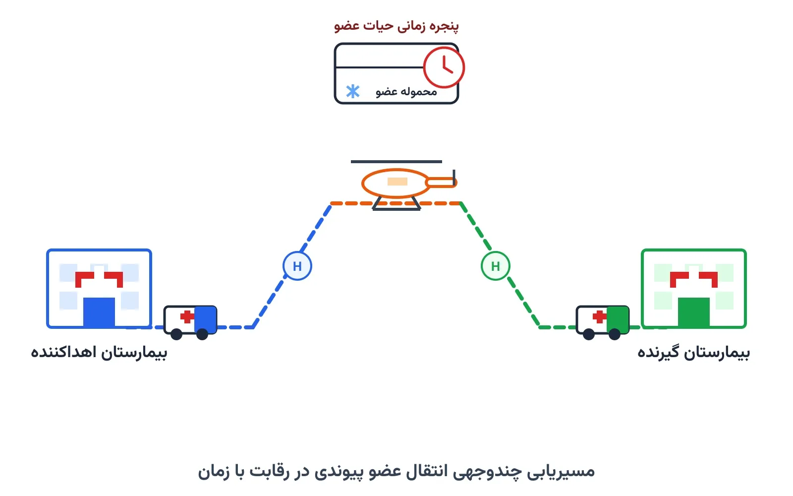 لجستیک انتقال عضو پیوندی: مسیریابی در مسابقه با زمان